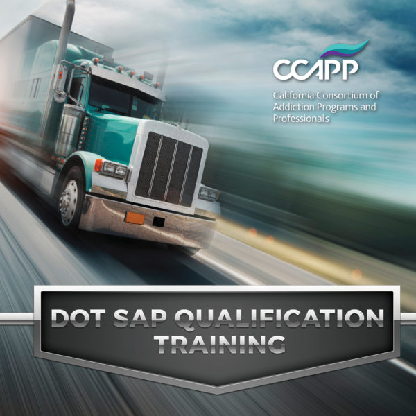 DOT SAP QUALIFICATION TRAINING